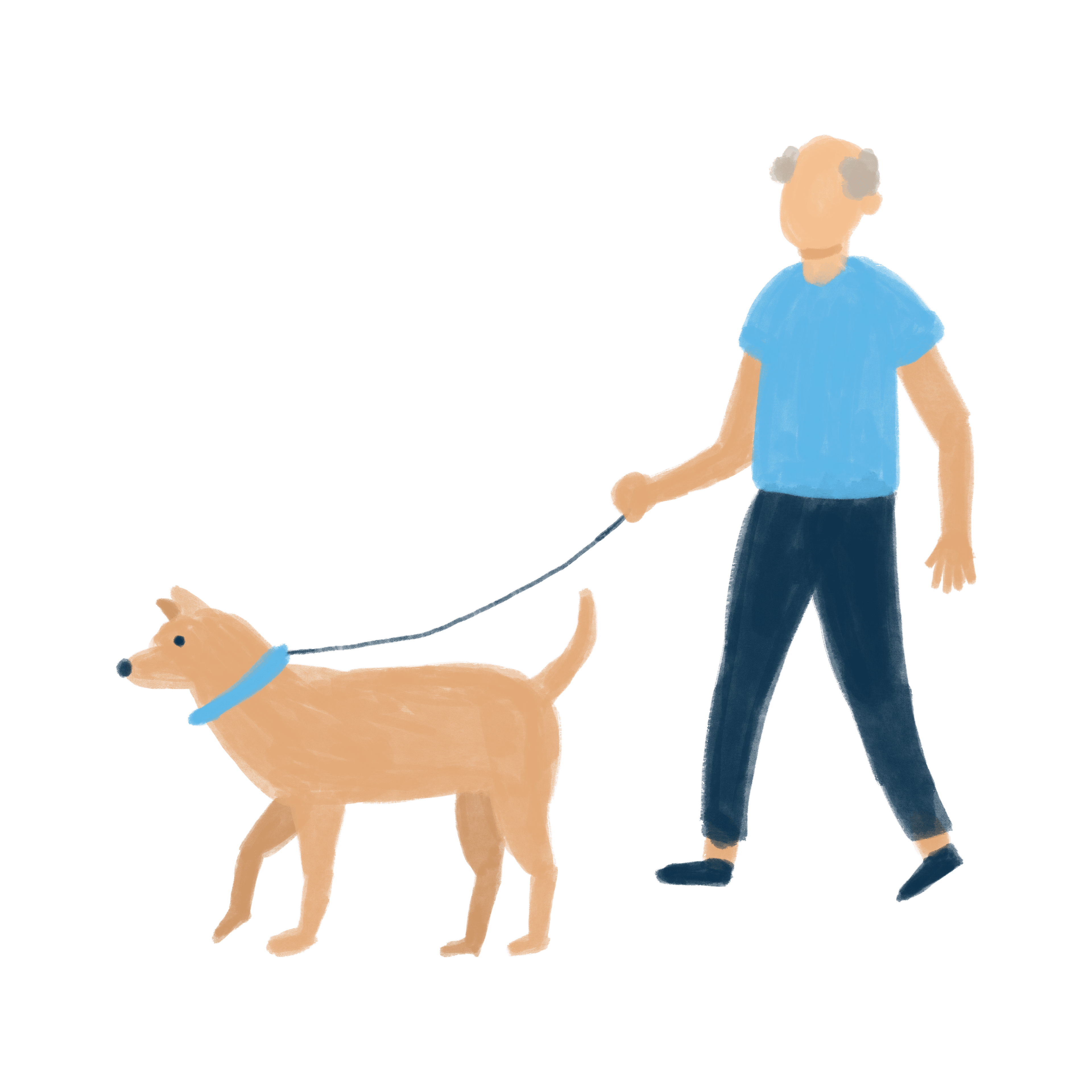 Elderly Walking Dog