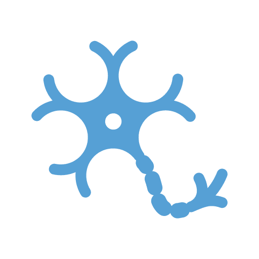neuron